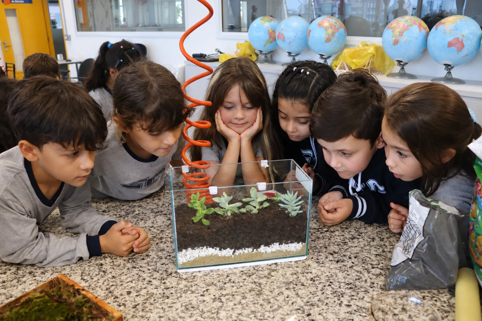 Projeto realizado por estudantes do Ensino Fundamental